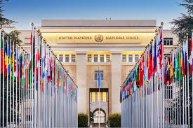 About UNEDP